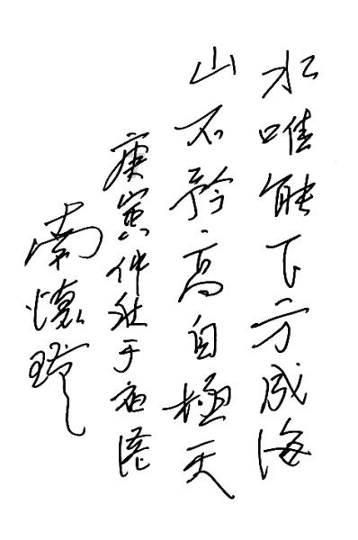 寂静森林找星星